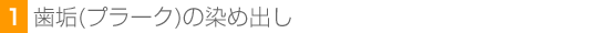 1.歯垢(プラーク)の染め出し