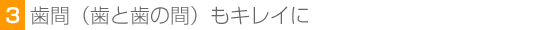 3.歯間(歯と歯の間)もキレイに